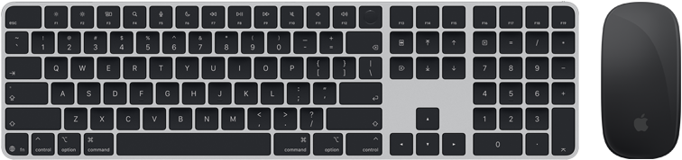 Επάνω όψη του Magic&nbsp;Keyboard με Touch&nbsp;ID και Magic&nbsp;Mouse