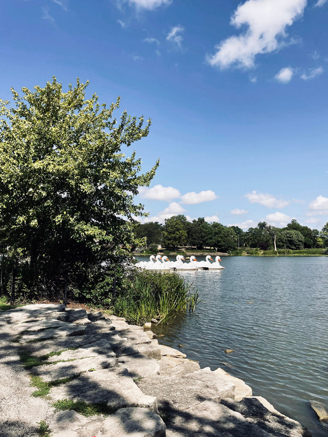 Adetokunbo Opeifa’s photo shows swan boats on the edge of a lake.
