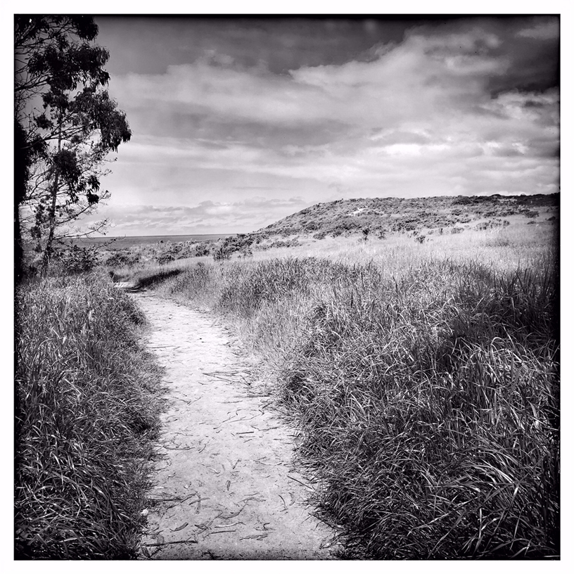 Pfad am Monastery Beach, aufgenommen mit dem iPhone Xs von Rachael Short.