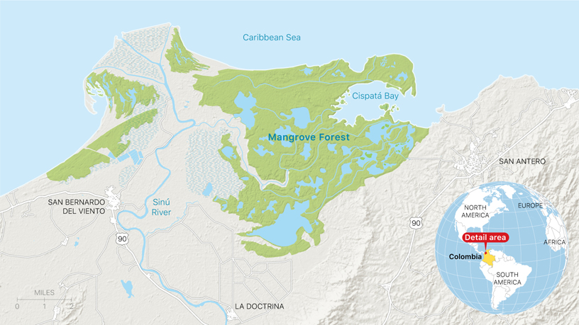Mapa del manglar de la zona marítima protegida de Cispatá, en el departamento de Córdoba (Colombia).