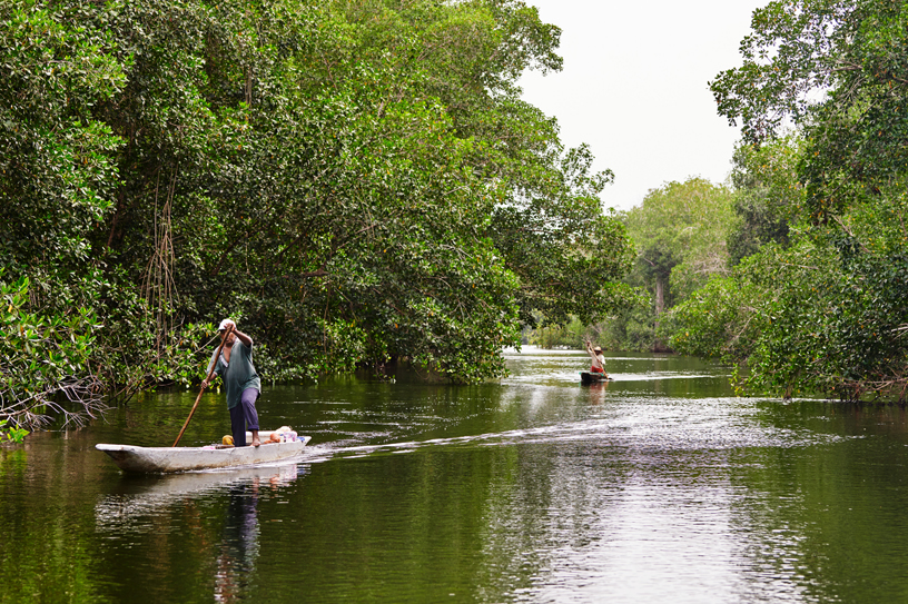 Pescadores de la bahía de Cispatá navegan por los canales que entran y salen del manglar.