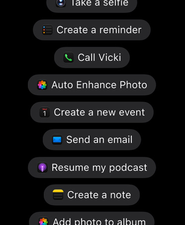 「Take a selfie」「Create a reminder」「Call Vicki」「Auto Enhance Photo」「Create a new event」「Send an email」「Resume my podcast」「Create a note」「Add photo to album」など、アプリ内で実行したいアクションをSiri AIに頼むリクエストが表示された画面
