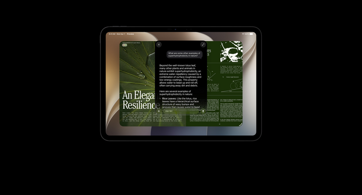 스페이스 블랙 색상 iPad Pro 11 화면에 주제에 관한 정보를 Siri AI에게 요청한 결과가 표시되는 모습. 검색된 정보에 관한 Siri AI 질문 및 Siri의 답변이 겹쳐 표시됩니다.